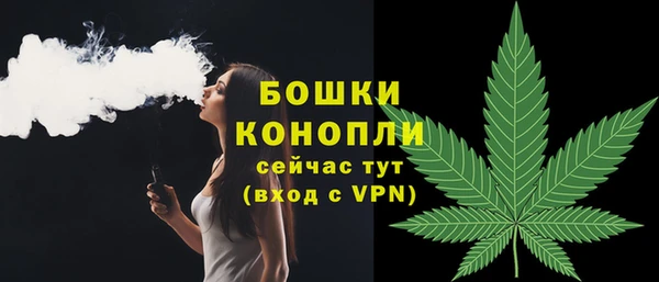 мет Арсеньев