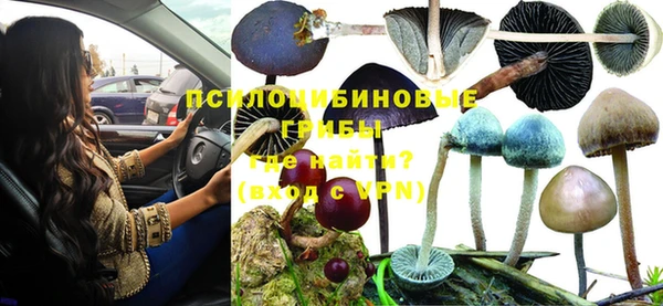 мет Арсеньев
