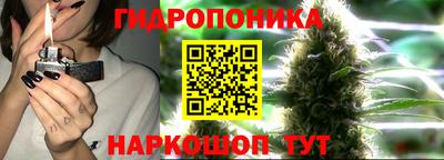 каннабис Берёзовский