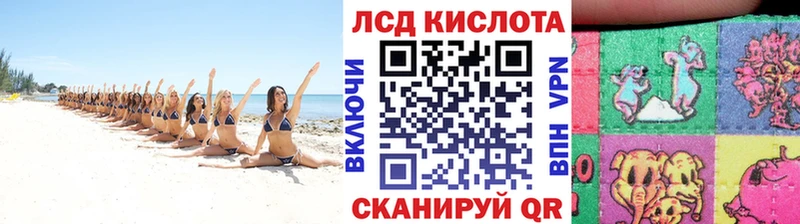 наркота  Гатчина  Марки N-bome 1,8мг 