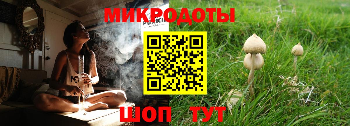 купить наркотик  Вход с VPN  Галлюциногенные грибы Psilocybe  Гатчина  Псилоцибиновые грибы Psilocybe 