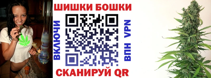 Конопля сатива  продажа наркотиков  Гатчина 